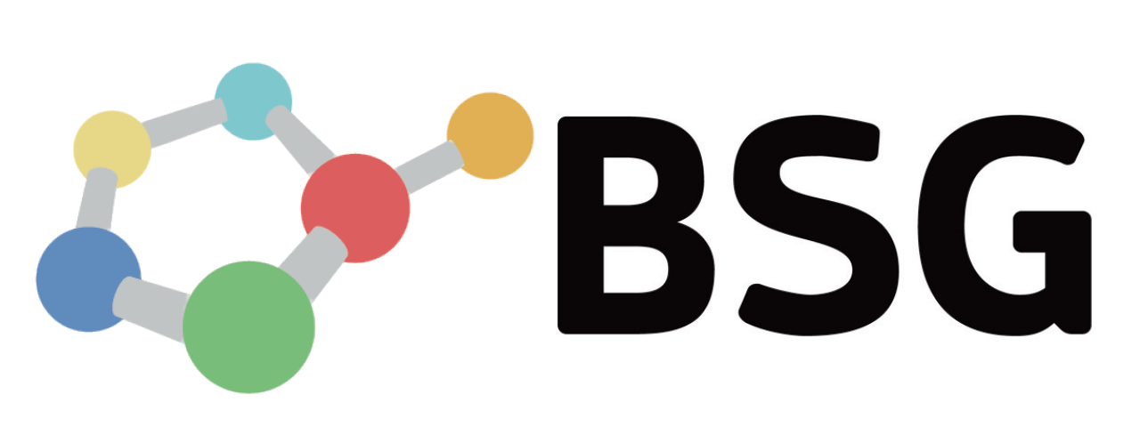 BSGNEW